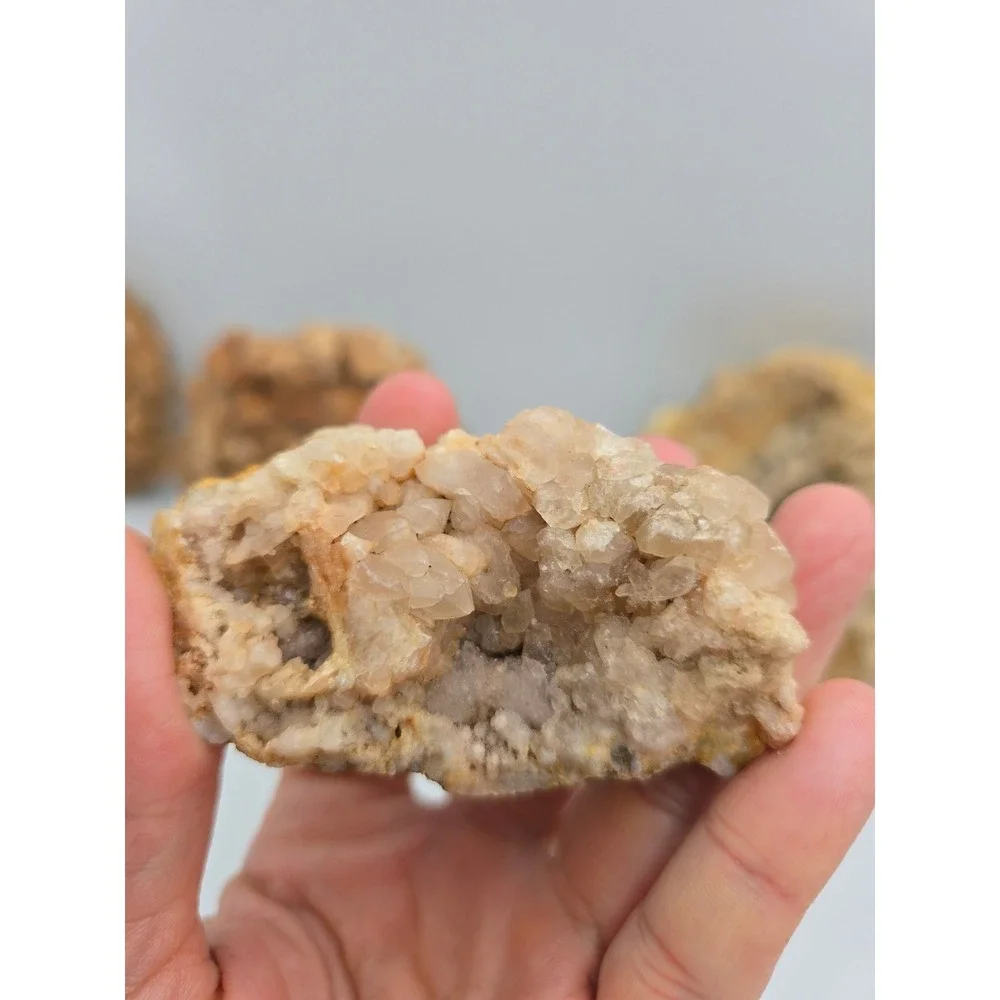 Natural Quartz‎ Geode Crystal Lot 6pc Tan White Good Raw Mineral Specimen